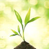 Ecologia